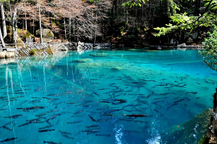blausee schweiz bilder wetter blausee schweiz bilder wetter