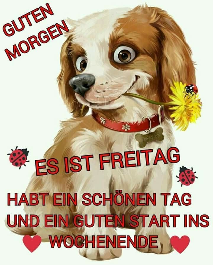 f3f59feae0b12cda9eb6b6236f67fda5-4199284738.jpg