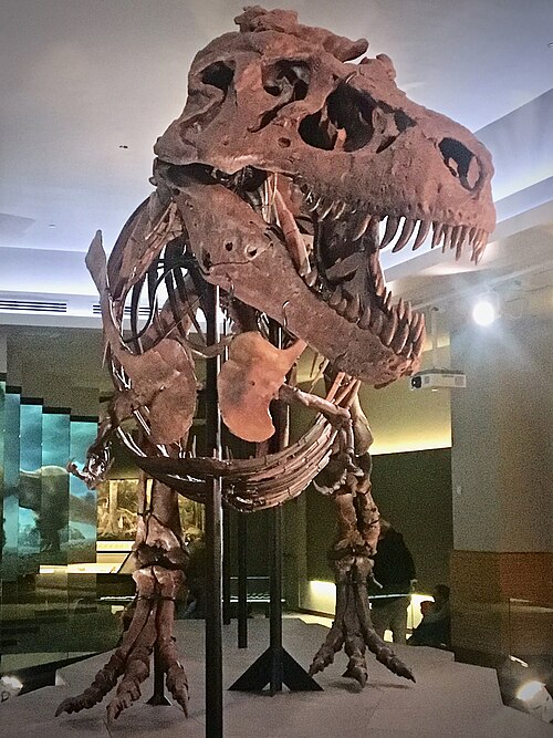 500px-FMNH_Sue_Tyrannosaurus_rex.jpg