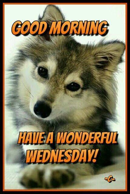 Happy Wednesday.jpg
