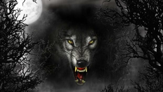 Werewolf-Photo-620x349.jpg